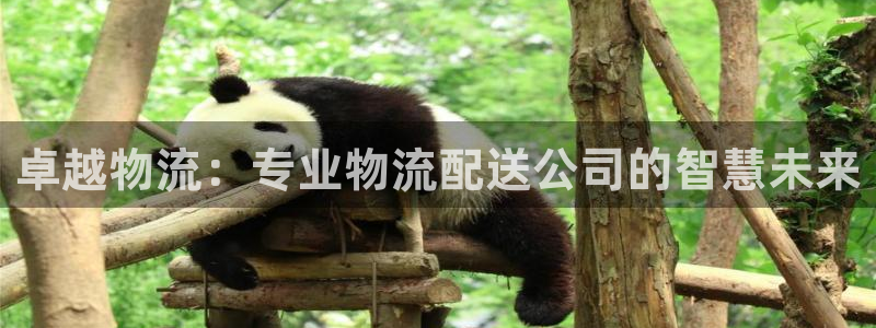 ,优游国际违法吗：卓越物流：专业物流