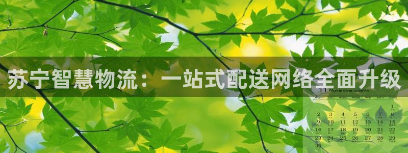 ,优游国际加拿大下载：苏宁智慧物流：