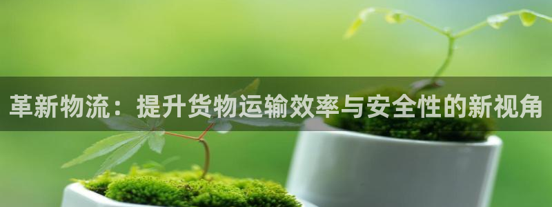 ,优游国际自行车图片大全：革新物流：