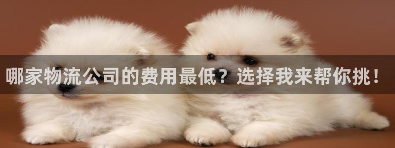 ,优游国际官方