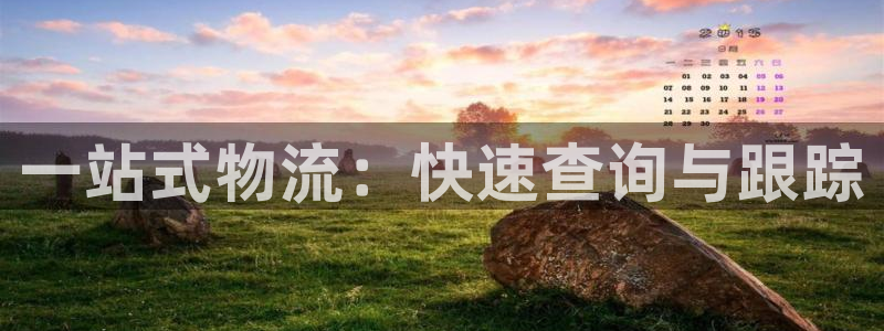 ,优游国际下载二维码怎么弄：一站式物流：快速查询与跟踪