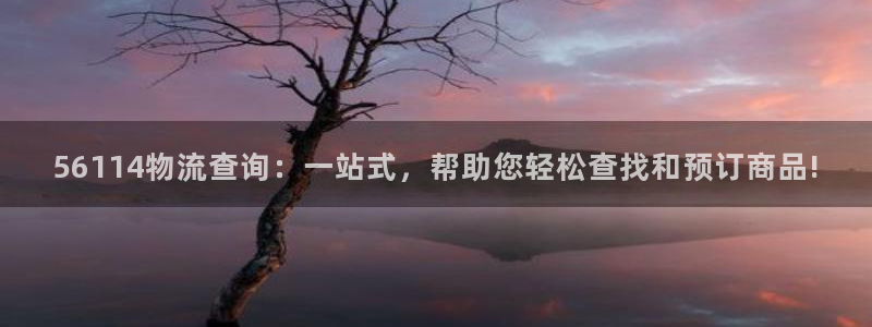 优游国际官方网站：56114物流查询