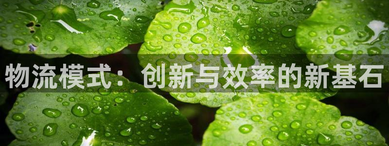 ,优游国际选28ng官网：物流模式：