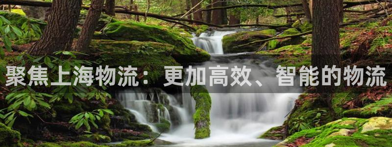 ,优游国际登录网：聚焦上海物流：更加高效、智能的物流