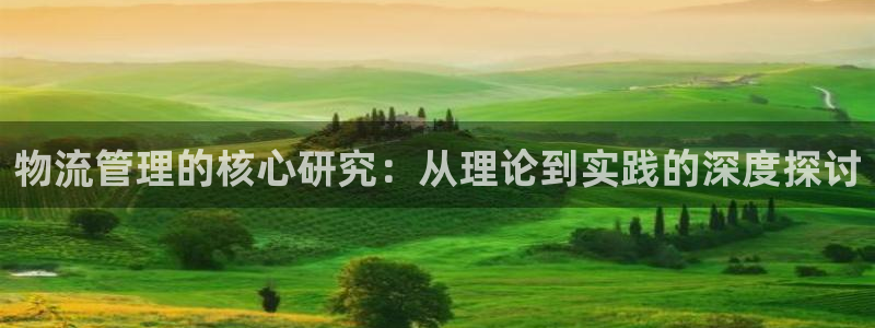,优游国际代理落网：物流管理的核心研