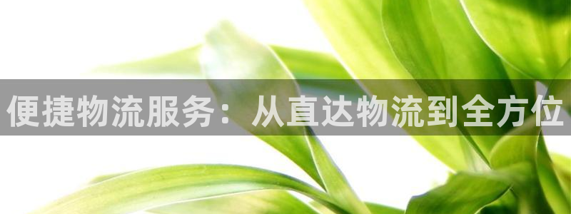 ,优游国际分分28预测：便捷物流服务