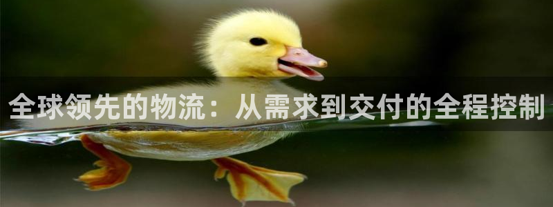 ,优游国际加拿大在线预测：全球领先的