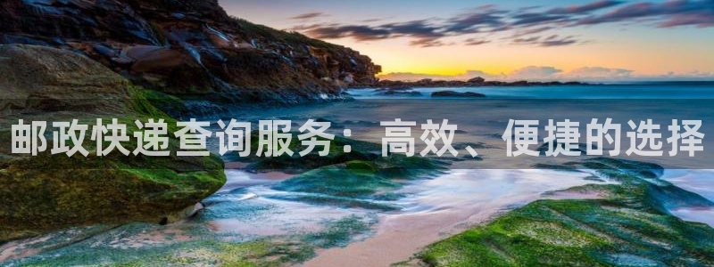 ,优游国际绿骨头:邮政快递查询服务: