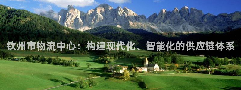 ,优游国际玩法：钦州市物流中心：构建