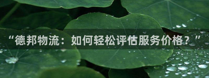 优游国际官网入口pc29官网版下载: