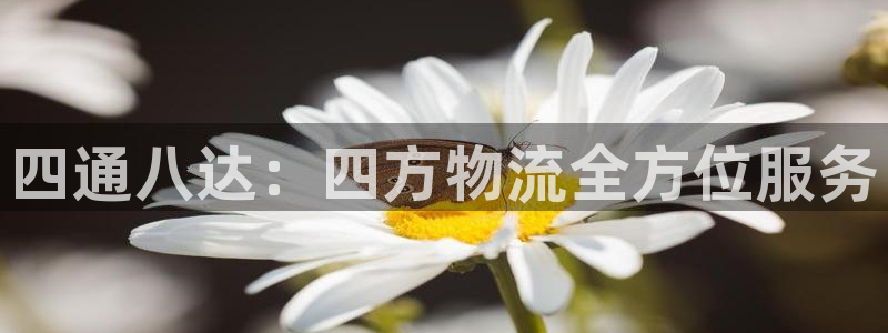 ,优游国际预测加拿大师准:四通八达: