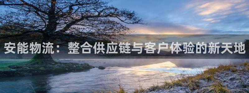 ,优游国际软件有什么用：安能物流：整合供应链与客户体验的新天