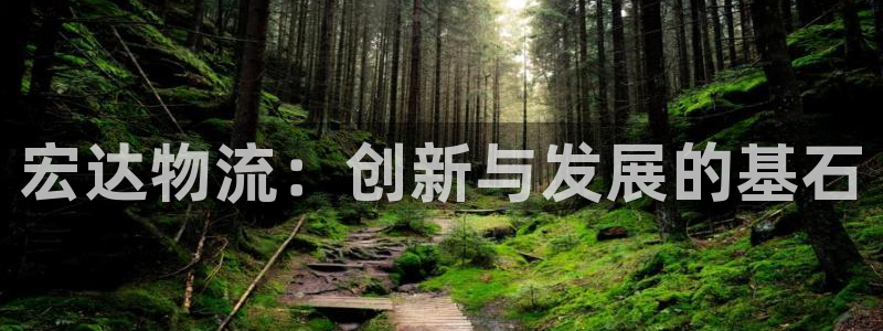 ,优游国际充值不处理怎么办:宏达物流