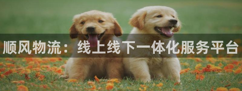 ,优游国际加拿大开奖：顺风物流：线上