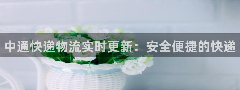 优游国际官网入口o：中通快递物流实时