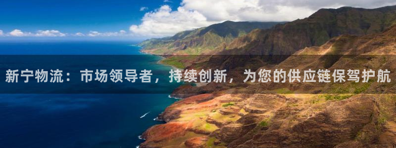 ,优游国际是什么软件：新宁物流：市场领导者，持续创新，为您的