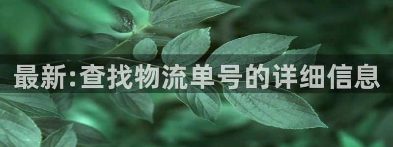 ,优游国际口：最新:查找物流单号的详