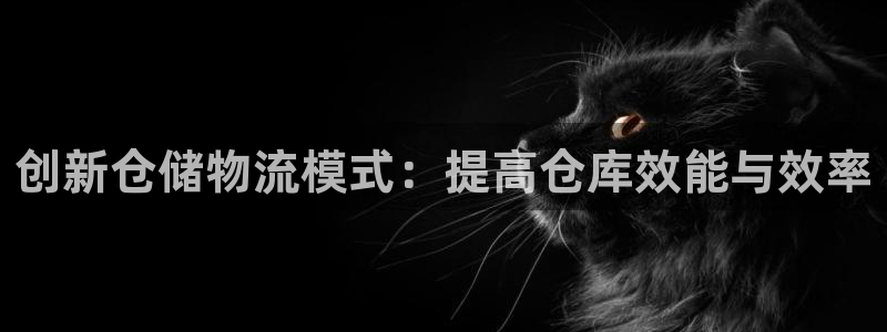 ,优游国际犯法吗：创新仓储物流模式：提高仓库效能与效率